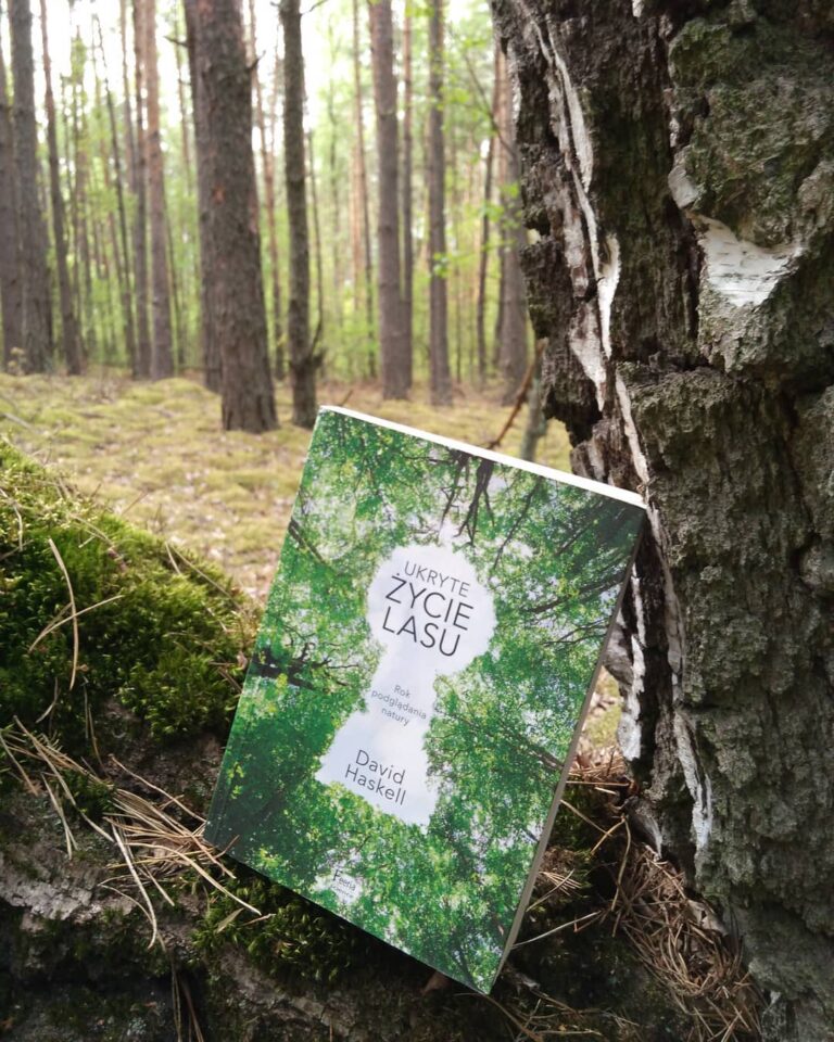 Ukryte życie lasu
